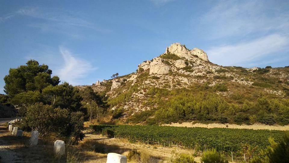 Apartamento Le Lapin Blanc Saint-Rémy-de-Provence Exterior foto